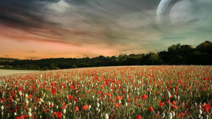 销量爆炸的华为nova14是不是证实华为已经腾出精力来收复中端市场了？